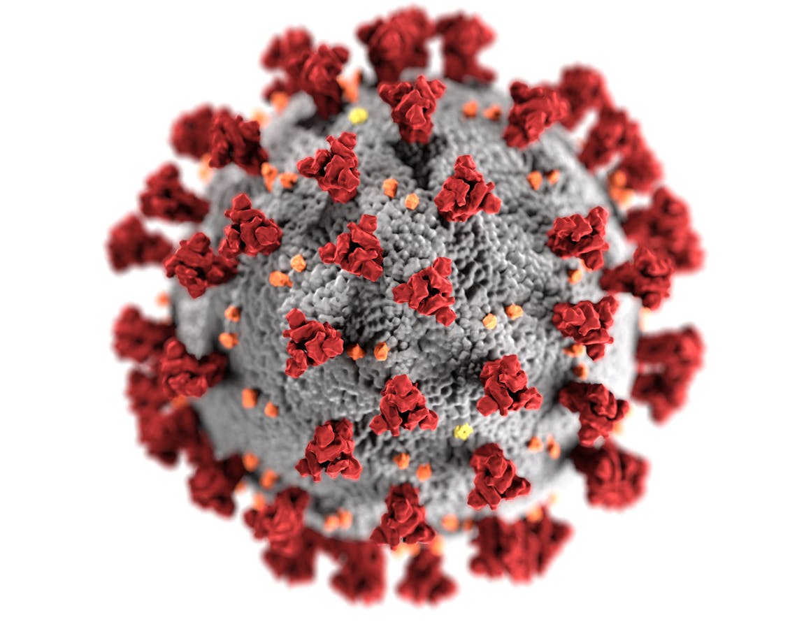 Coronavirus