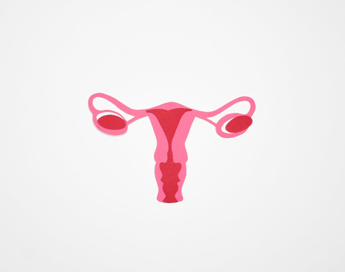 Graphic Art of a Woman's Ovary