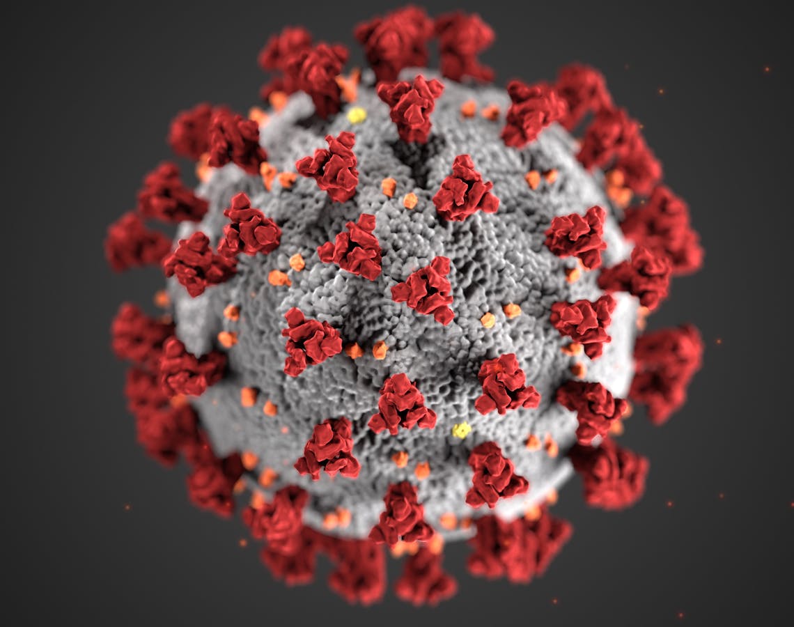 Detailed illustration of coronavirus structure with red spike proteins.